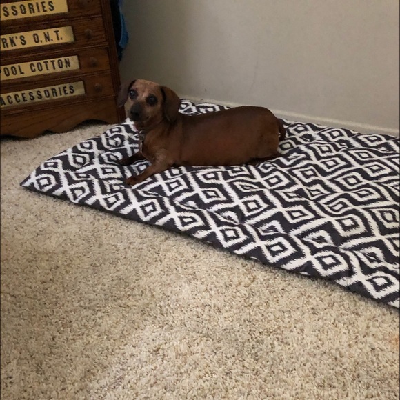 Meet your Posher, Jil - Picture 3 of 7